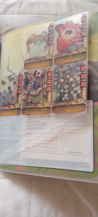 carte collezione