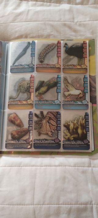 carte collezione