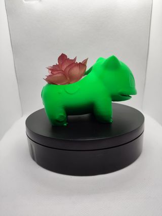 Vaso Bulbasaur