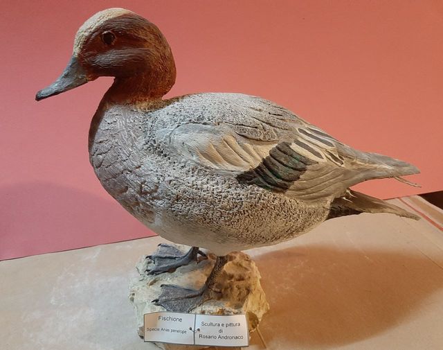 fischione in scultura di argilla e dim. naturali