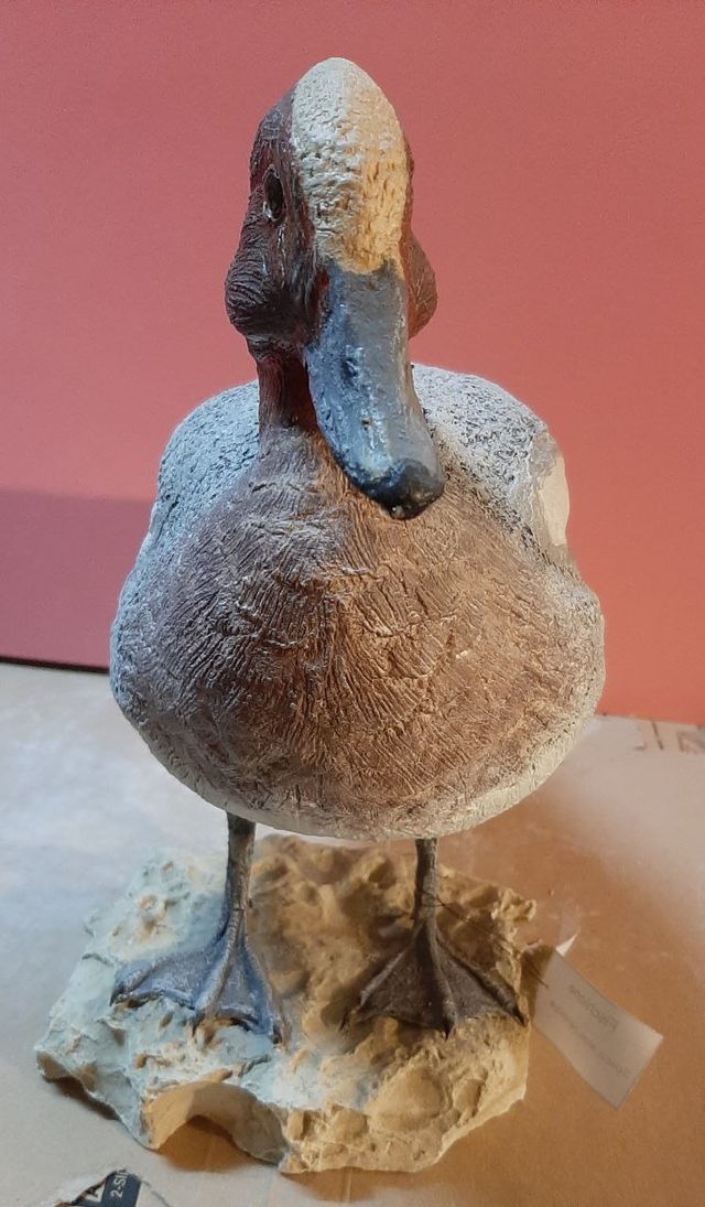 fischione in scultura di argilla e dim. naturali