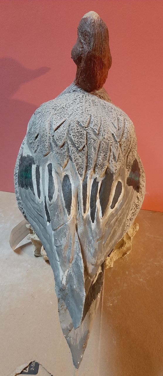 fischione in scultura di argilla e dim. naturali