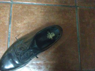 Zapatos lottusse 