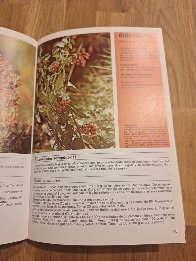 Plantas y Flores medicinales