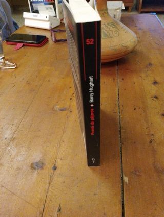 Puente de pájaros: Una novela de la antigua China (Bibliópolis Fantástica) (Spanish Edition)