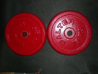 ✅ 2 DISCOS 15KG 30MM SALTER