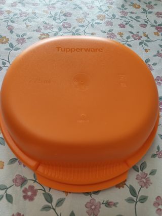 Micro Healthy Delight Tupperware 