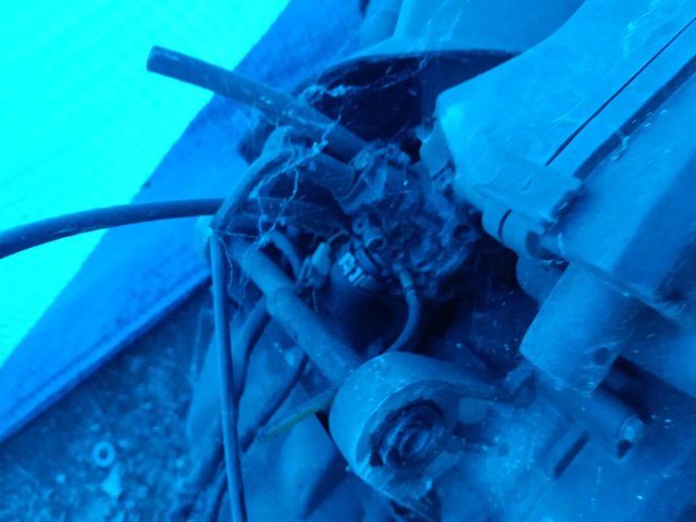 Motor Peugeot ludix 50
