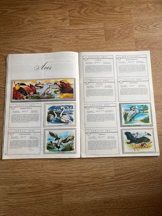 ALBUM NATURALEZA Y COLOR