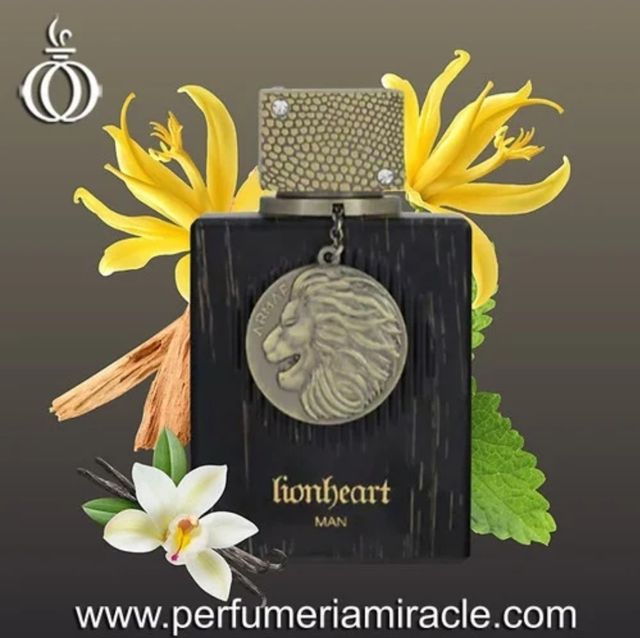 LIONHEART ARMAF   PERFUME ARABE