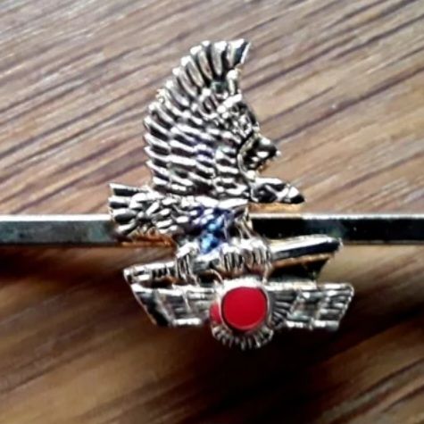 Pasador de corbata del EADA *