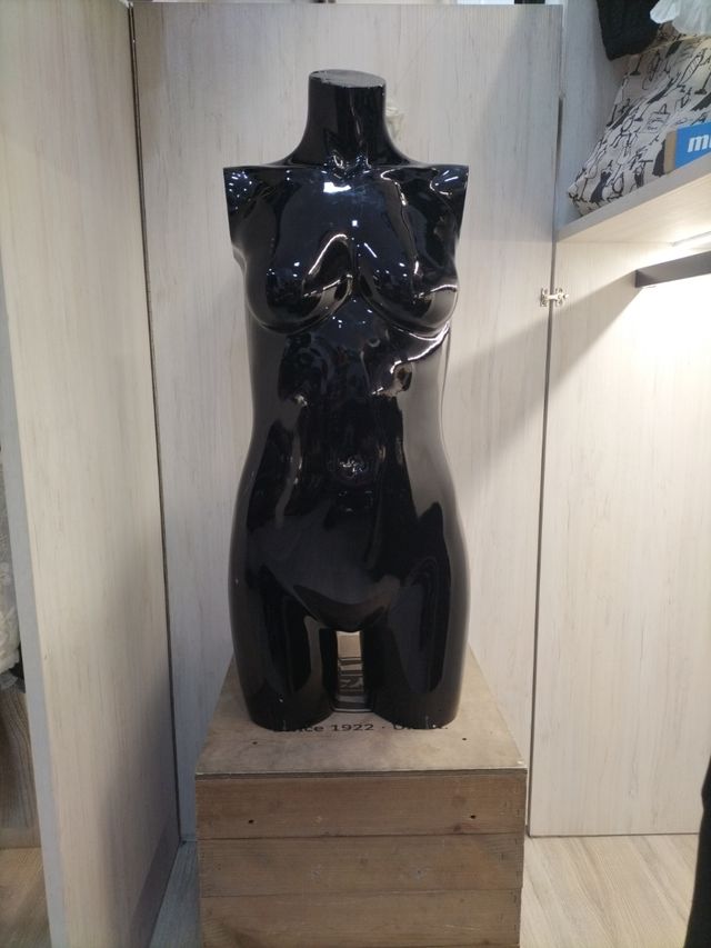 Busto de chica hasta media pierna