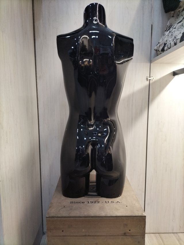 Busto de chica hasta media pierna