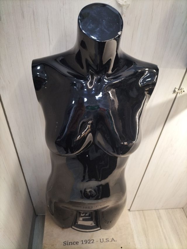 Busto de chica hasta media pierna