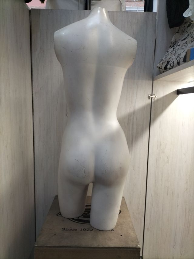 Busto de chica hasta media pierna