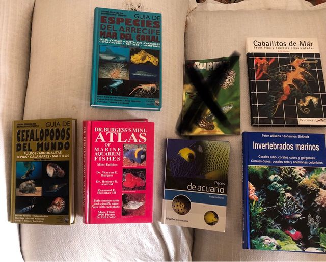 Lote libros reptiles aves peces plantas