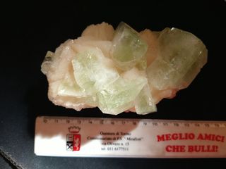 Minerale da collezione Aprofillite