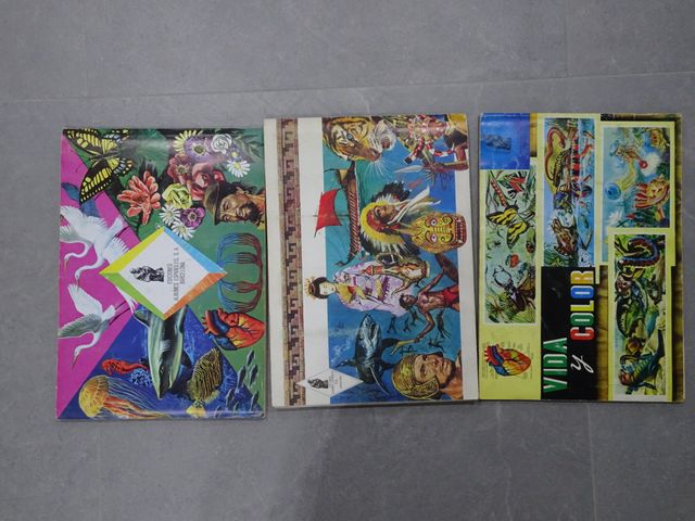 Vida y Color álbumes de cromos