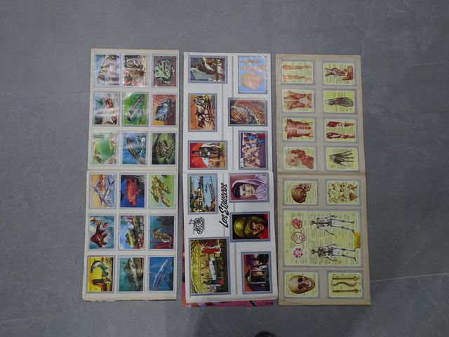 Vida y Color álbumes de cromos