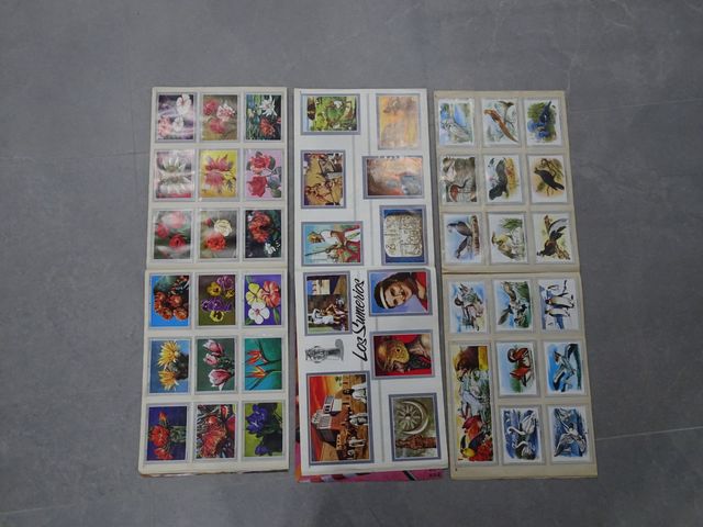 Vida y Color álbumes de cromos