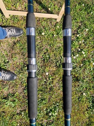 daiwa Royal carp 