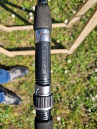 daiwa Royal carp 