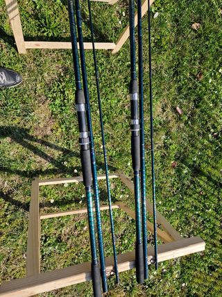 daiwa Royal carp 
