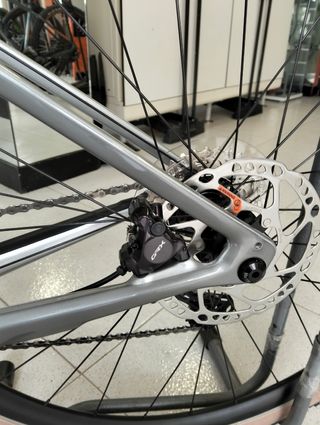 Synapse Neo Allroad 2