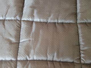 Lettino per cane