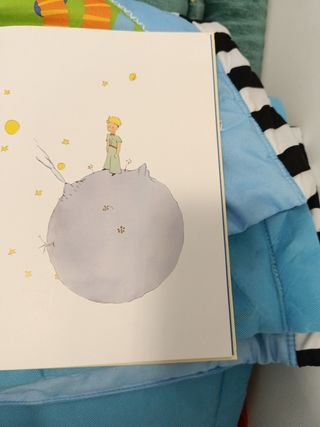 Mi primer Principito