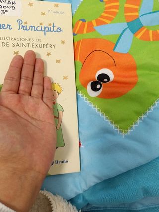 Mi primer Principito