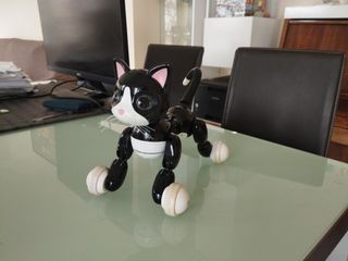 Gato