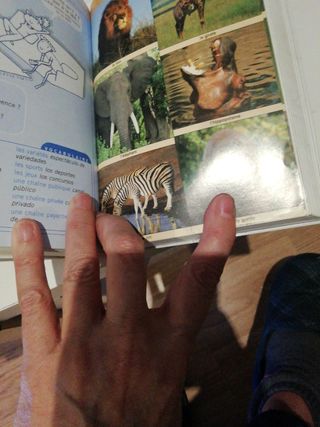 Dicc. Didactico Dico Fra/esp - Esp/fra