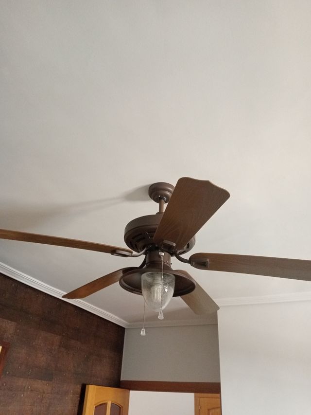 Ventilador de techo 