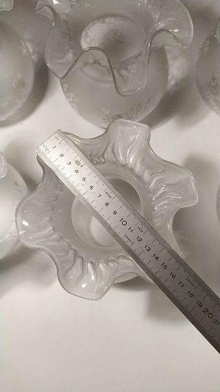 6 Tulipas antiguas , VINTAGE