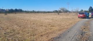 Se alquila terreno rústico para cultivo en Albal