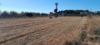 Se alquila terreno rústico para cultivo en Albal