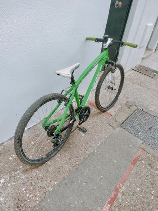 Bicicleta Agece