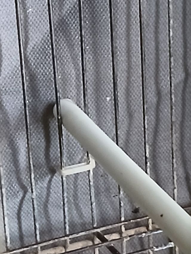 30 Palos para jaulas