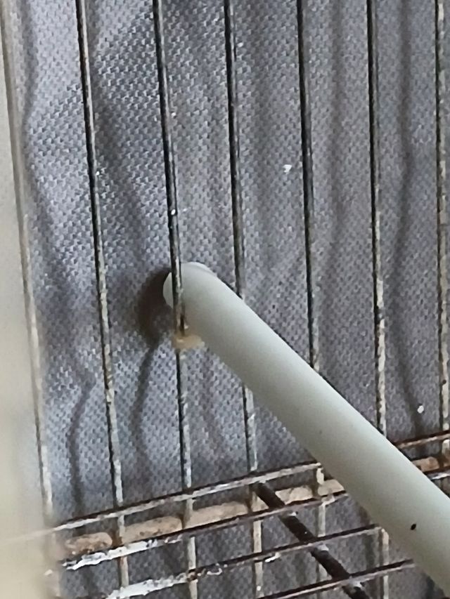 30 Palos para jaulas