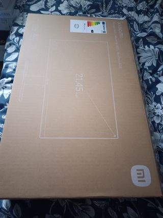 Monitor Xiaomi 22 pulgadas 