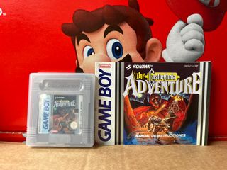 The Castlevania Adventure