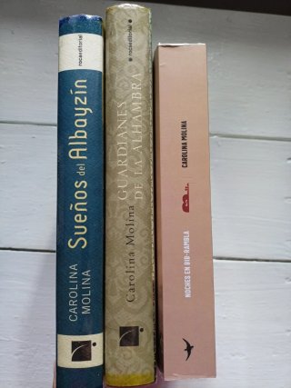 Lote de libros Carolina Molina