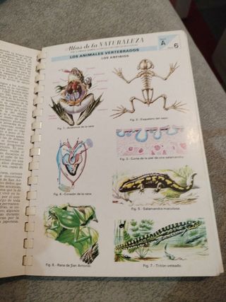 Atlas de la naturaleza (Colección Atlas : C) (Spanish Edition)