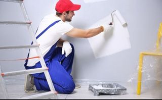 Pintor economico