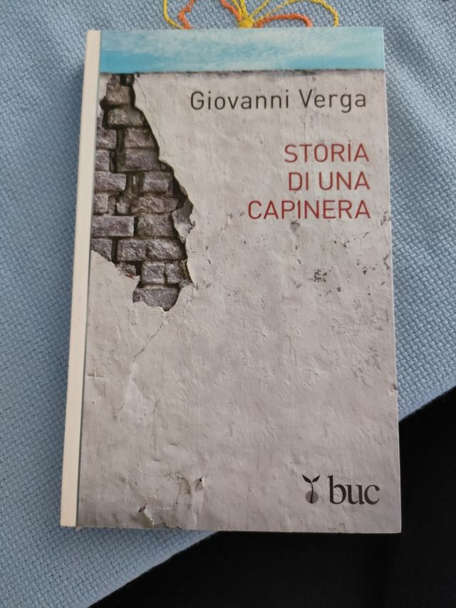 Libro, Storia di una capinera