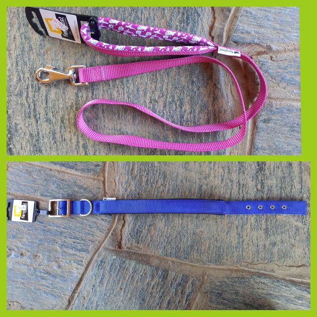 Collare e guinzaglio cane NUOVI