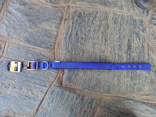 Collare e guinzaglio cane NUOVI