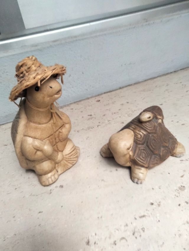 Tortugas decoracion