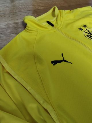Sudadera puma Borussia Dormunt